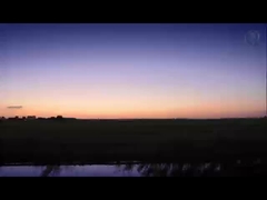 سلسلة 1000-8000 لفائف الألومنيوم المطلية مسبقاً