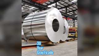 ألواح حائط ستائرية من الألومنيوم باللون الرمادي لمدة 30 عامًا